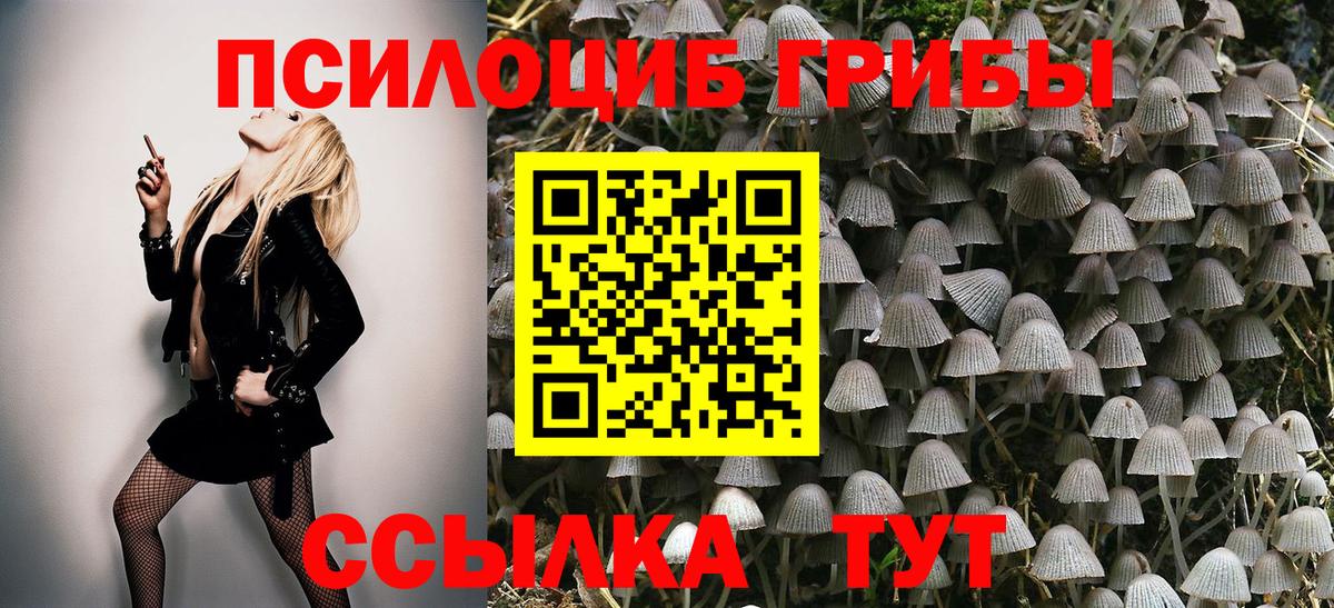 Псилоцибиновые грибы прущие грибы Уссурийск