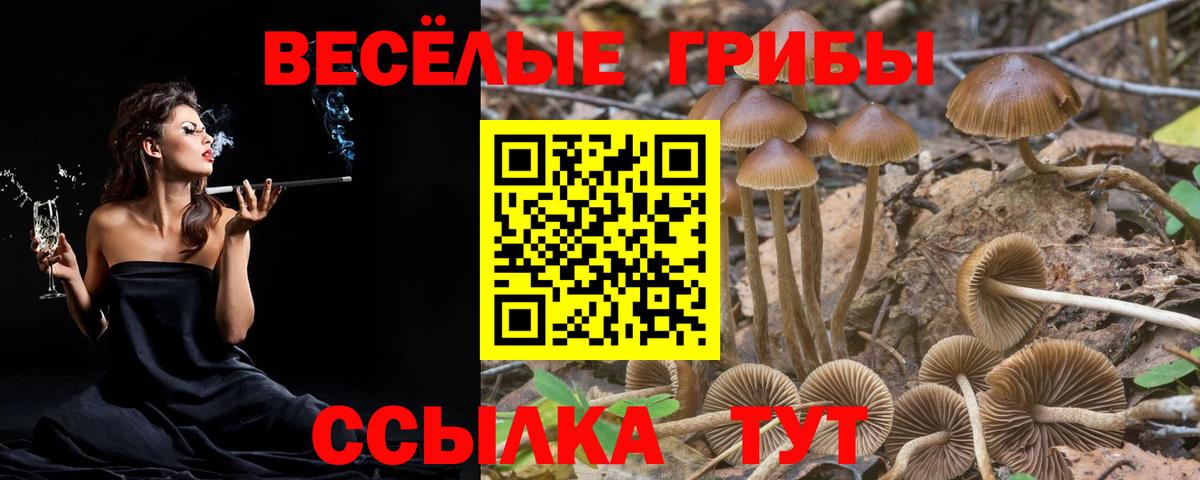 Галлюциногенные грибы Cubensis  Псилоцибиновые грибы Psilocybine cubensis  Вход с VPN  Уссурийск 