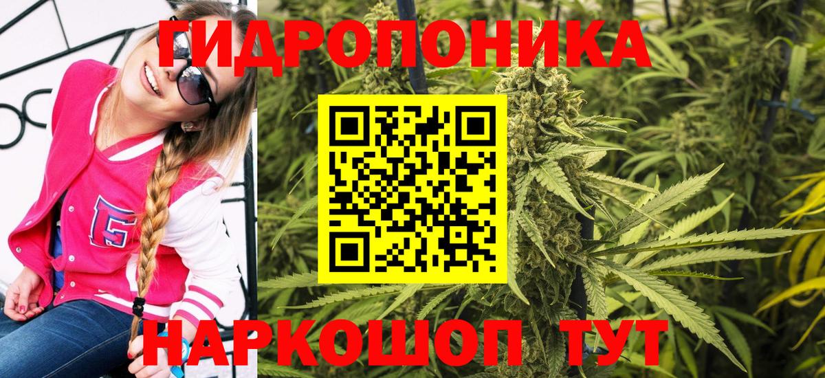 Каннабис OG Kush Уссурийск